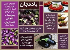 کی میگه بادمجون خاصیت نداره ﻿