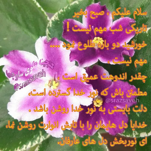 سلام علیکم ، صبح بخیر