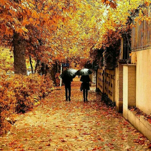 🍂 💫 🍁 شاهکاری ست