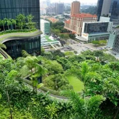 این مکان زیبا در سنگاپور واقعا شده است به نام هتل پارک رو