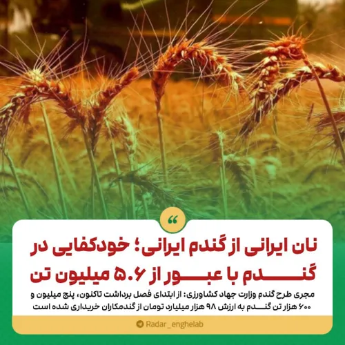 نان ایرانی از گندم ایرانی؛ خودکفایی در گندم با عبور از ۵.