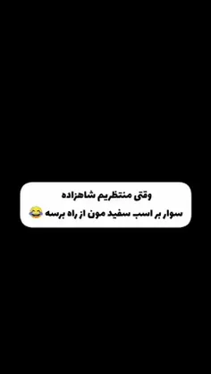 همون شاهزاده‌ی سوار بر گور خر هم نداریم اخه😐😂💁🏻‍♂️🗿