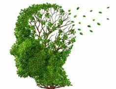 ✅ سه چیز که مغزتان را از خطر آلزایمر نجات خواهد داد