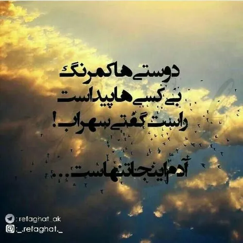 عکس نوشته بهاره🌸