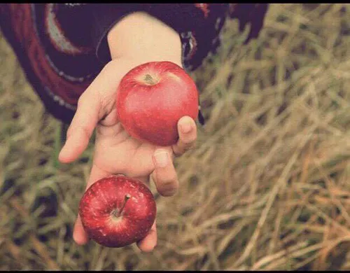 همیشه از حرمت، بوی سیب می آید