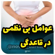 بارداری 