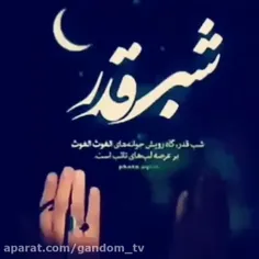 🌴🖤شب قدراست قرآنهابرسر علی جان نظری کن وحاجات همه را برآو