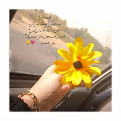 •﴿یا مَن شُکرهُ فَوزٌ لِلشّاکِرین﴾