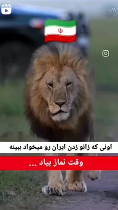 اونی که زانو زدن ایران رو میخواد ببینه وقت نماز بیاد... ✌