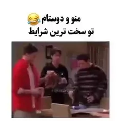 حققق 