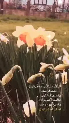 السلام علیک یا صاحب الزمان❤️