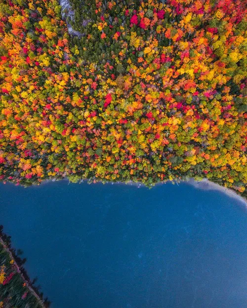 تصاویر زیبا از جنگلهای شمال شرقی آمریکا در پاییز