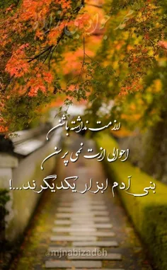 محمد جواد نبی زاده 