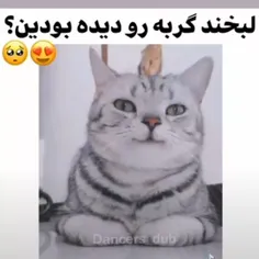 لبخند پیشییی🍓⭐