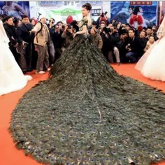 لباسی که از 3 هزار پر طاووس در چین درست شده