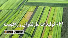 خلیل حقیقی: 41 درصد تولیدات کشاورزی مازندران مربوط به بخش