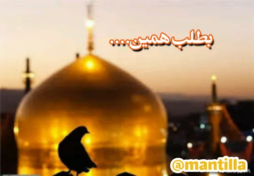 ولادت امام رضا ظامن آهو تولد خوبی امام رضا شادی الله خدا 