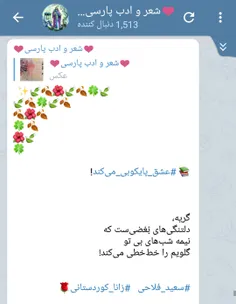 #سعید_فلاحی