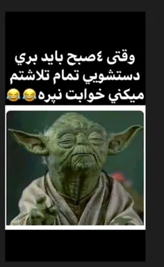 #اقای-چت