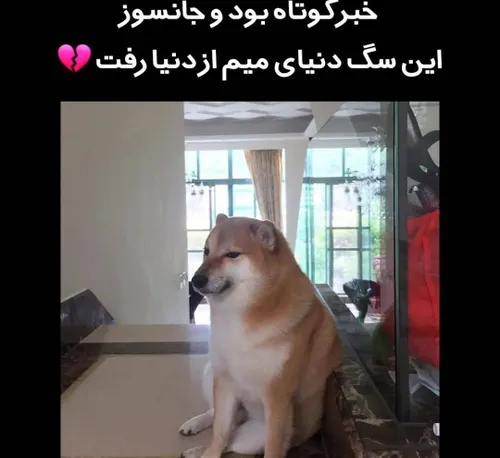 فقط منم که بخاطرش سیا پوشیدم🥲😐😭🔪