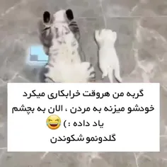 چقدر نازن