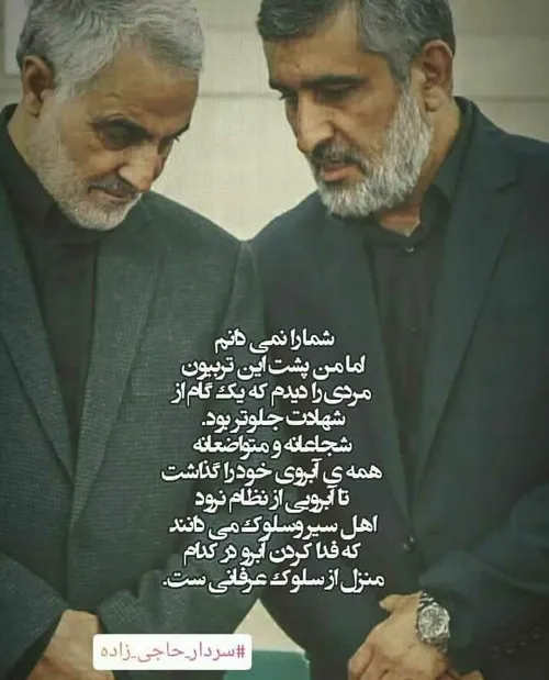 سردار حاجی زاده