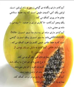 خواص اووکادو