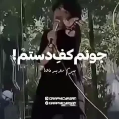 دیگ بسه فاز بردع داری