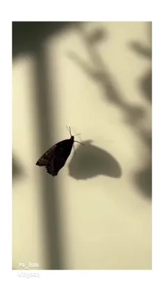 رها☘ می دونم چقدر درک نشدی