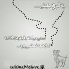 شخصی mohadesehkhanoom 14358511