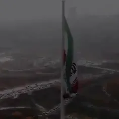 تصور میکنید  این مرد راحت حاج قاسم شد.