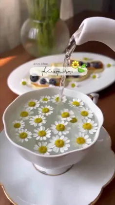 عصرتون شاد 🌼