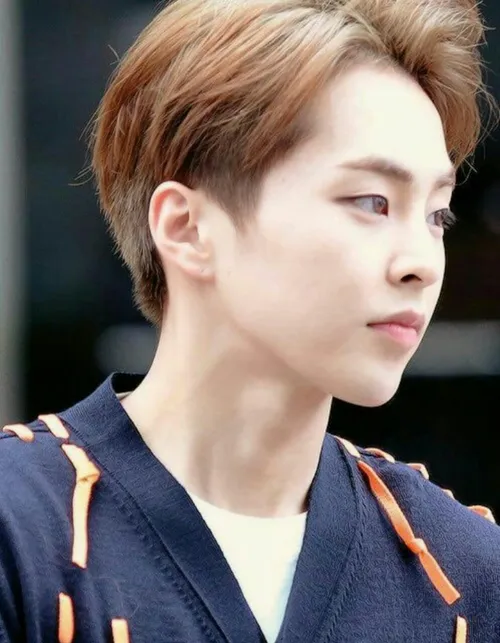 pic xiumin exo exo my planet