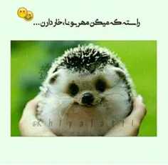 ای جونم😂😐😍