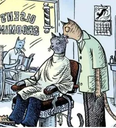 آرایشگاه گربه ها ...