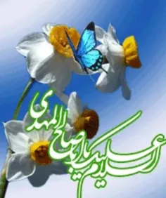 🌼 امام زمانم 