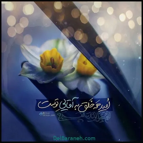 امید همه خلق به آقایی توست یا مهدی