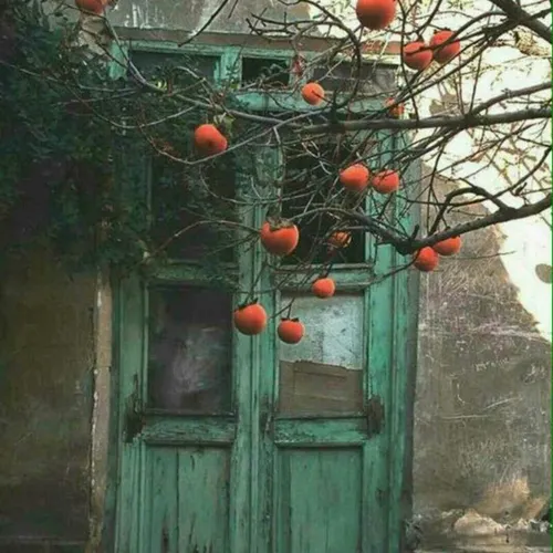 در چشم من ببین چه غوغاست در دلم...