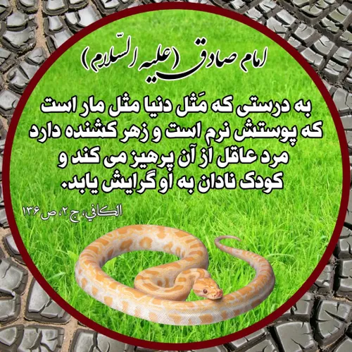 امام صادق ( علیه السّلام ): به درستی که مَثل دنیا مثل مار