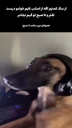 989380_8938 77179744