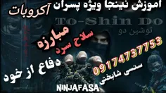 آموزش تخصصی نینجا 