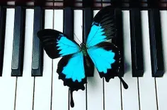 زندگی مثل پیانو میماند؛