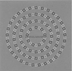 خطای دید ما باعث میشه احساس کنیم این دایره‌ها همدیگه رو م