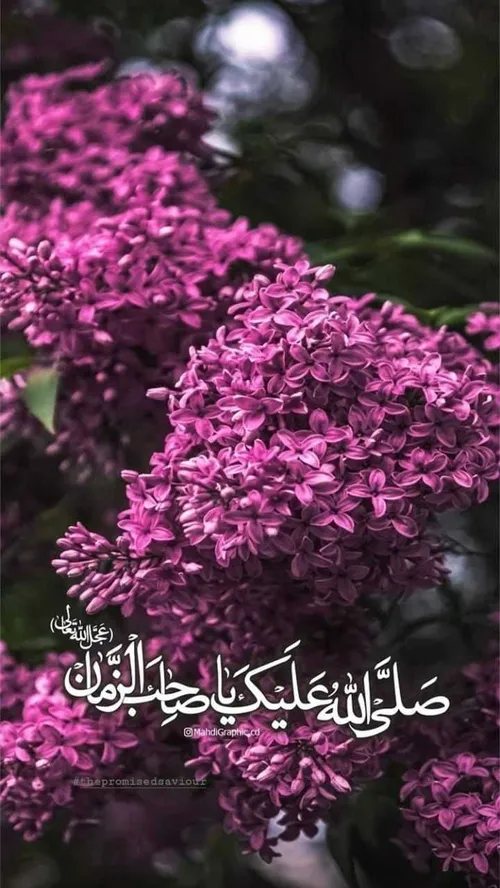 اللهم عجل لولیک الفرج🙏🏾🌹🍃