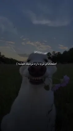 و منی که فقط شبا درس می‌ره تو مخم 😂