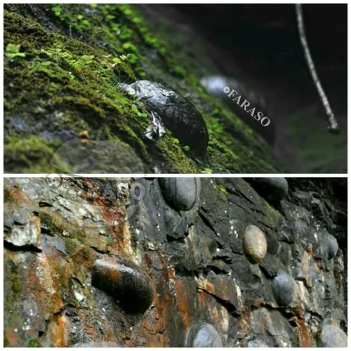 سنگ و صخره تخمگذار یکی از عجایب دنیا
