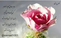 شخصی merze 28837093