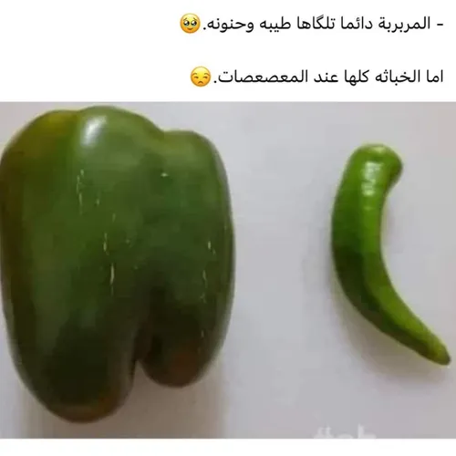 ايي والله صح 😂😂