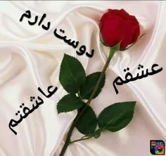 گوناگون sarayaroman 20909964