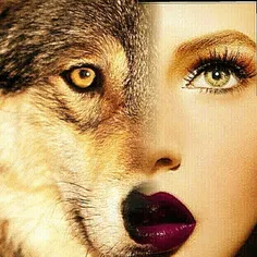 من ترسم از گرگ‌ها نیست ،